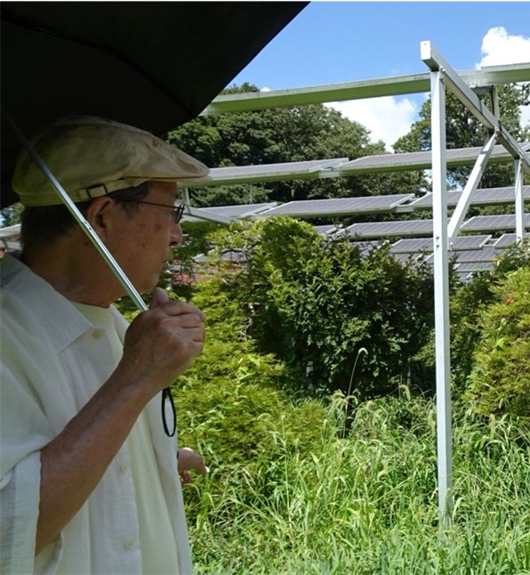 ソーラーシェアリングの畑